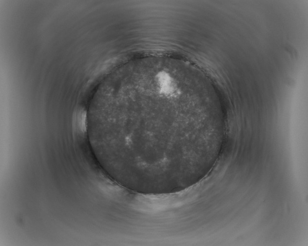 X0000112430041200909111039