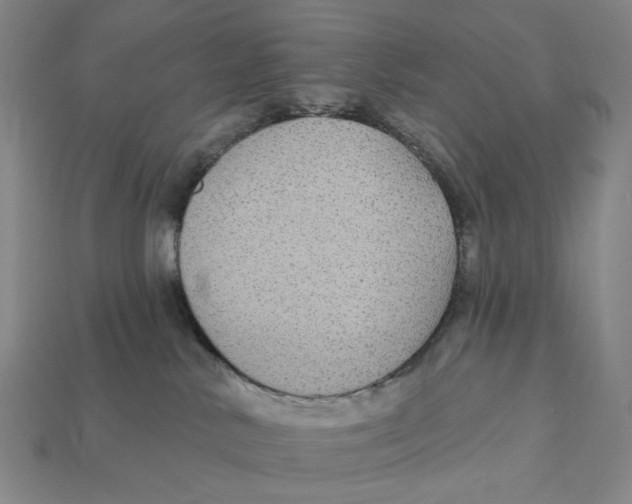 X0000112430042200909111039