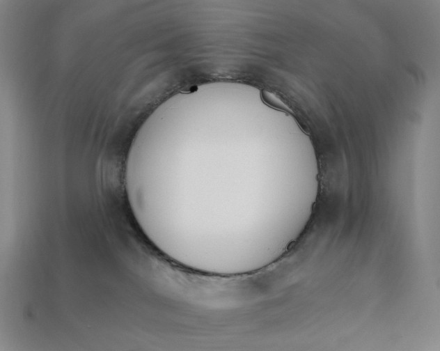 X0000112430044200909111039