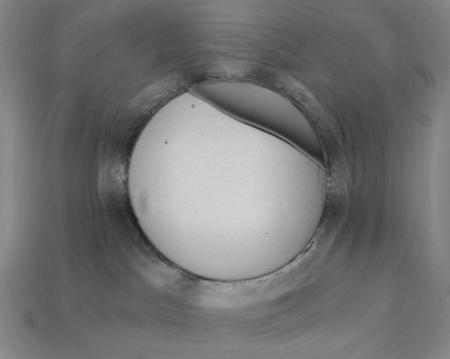 X0000112430045200909111039