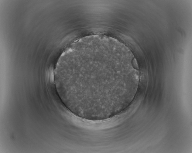 X0000112430046200909111039