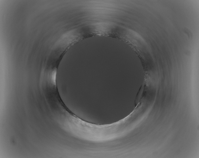 X0000112430047200909111039