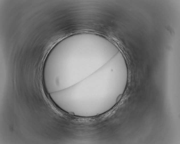 X0000112430049200909111038