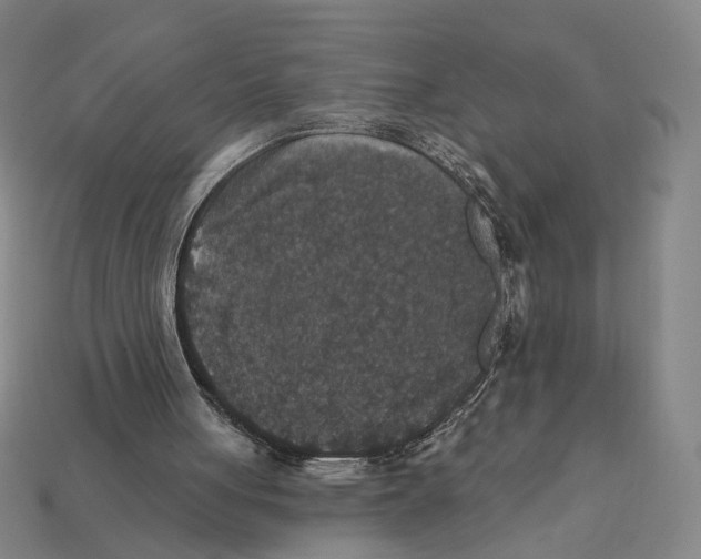 X0000112430051200909111038