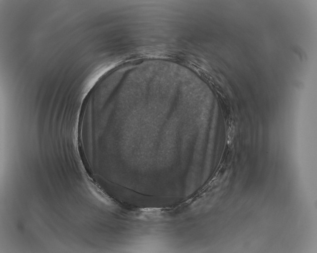X0000112430052200909111038