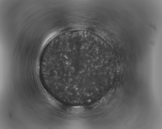 X0000112430053200909111038