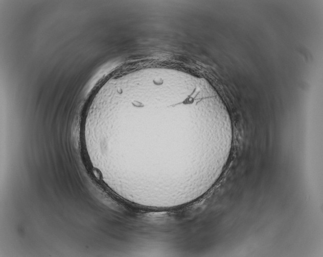 X0000112430054200909111038