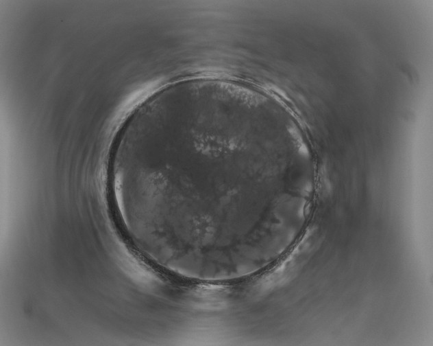 X0000112430055200909111038