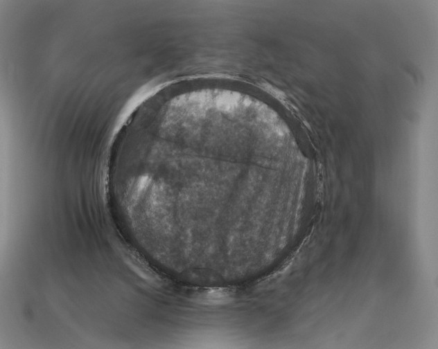 X0000112430056200909111038