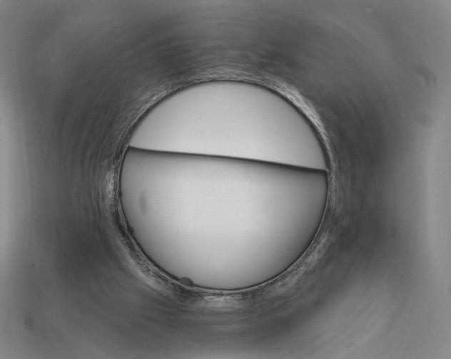 X0000112430057200909111038