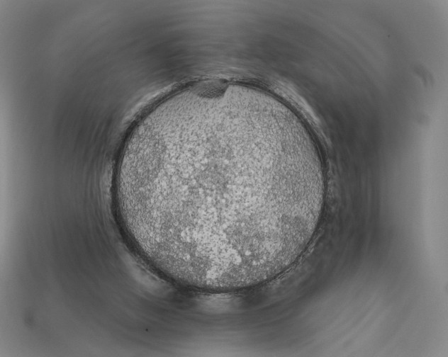 X0000112430058200909111038