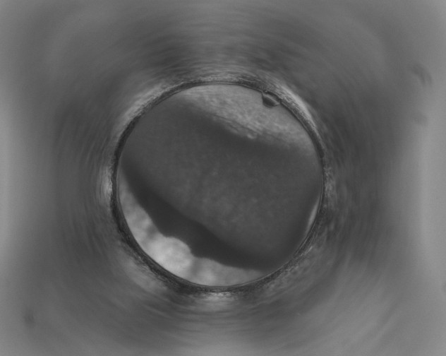 X0000112430059200909111038