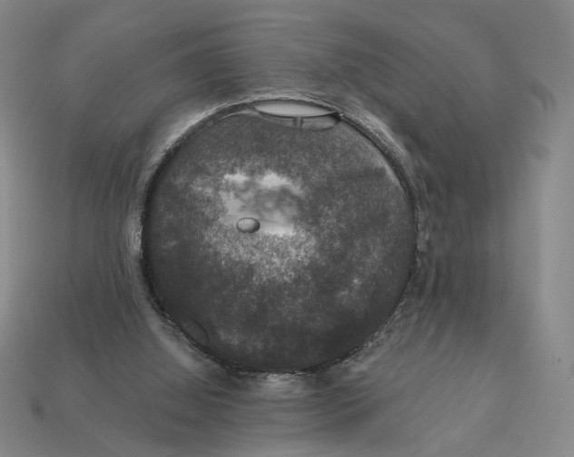 X0000112430060200909111038