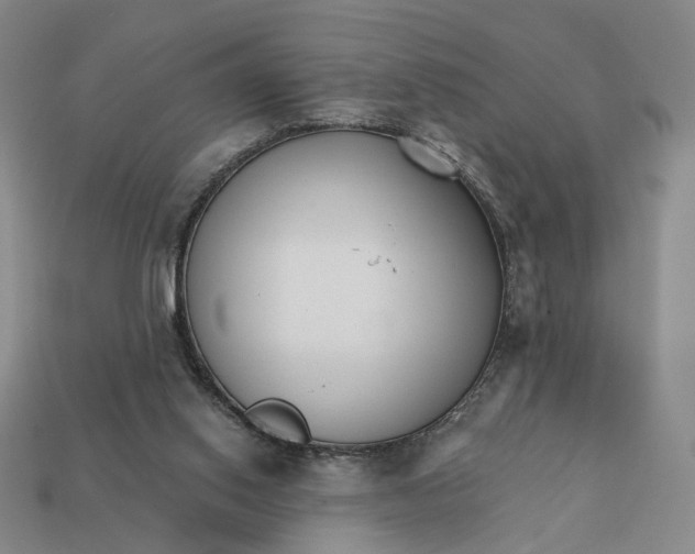 X0000112430062200909111038