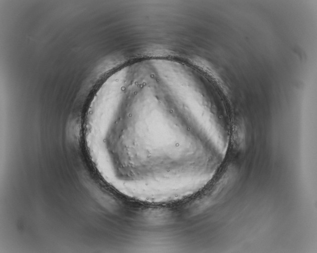 X0000112430063200909111038