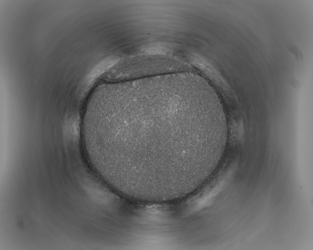 X0000112430064200909111038