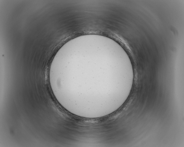 X0000112430065200909111038