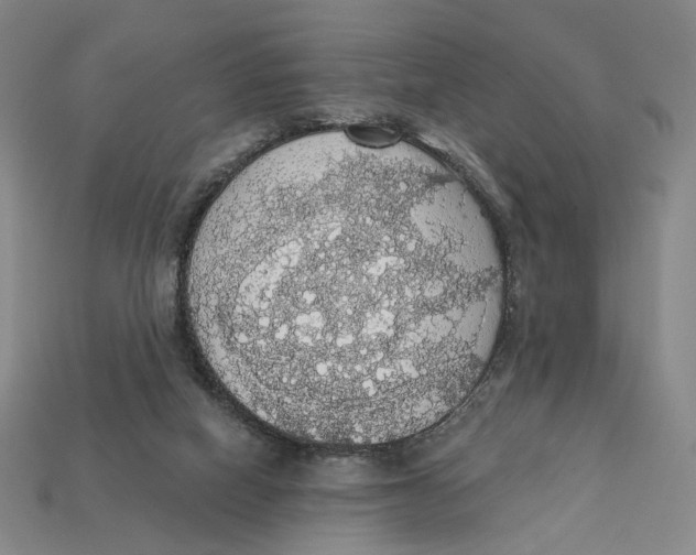 X0000112430066200909111038