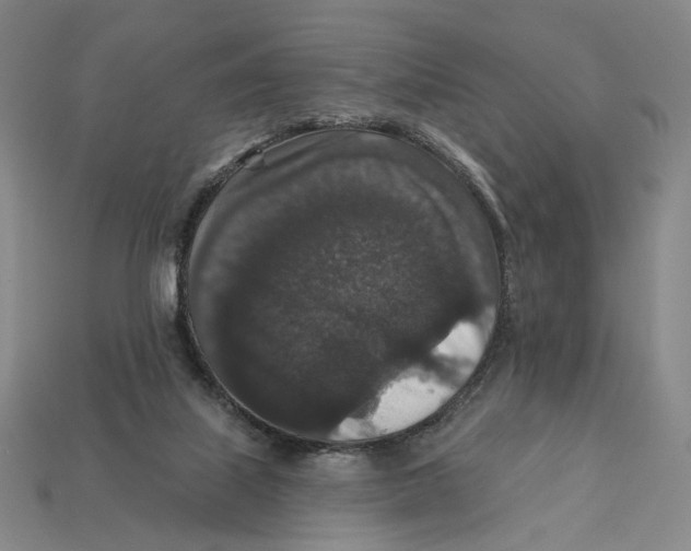 X0000112430067200909111038