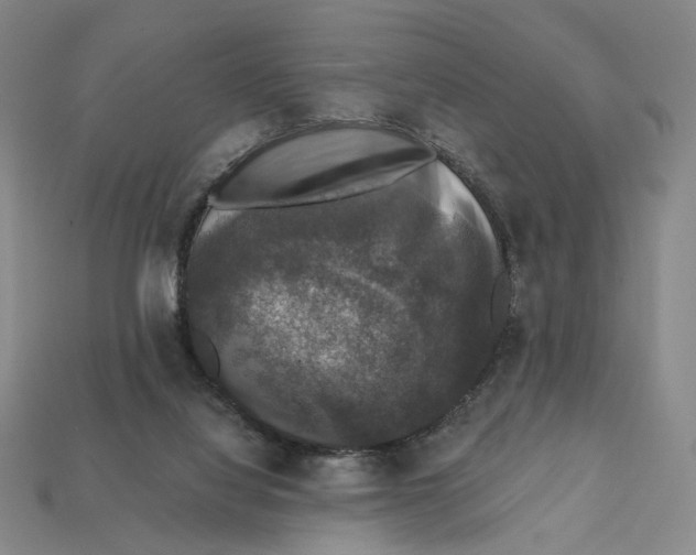 X0000112430068200909111038