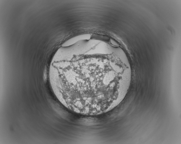 X0000112430069200909111038
