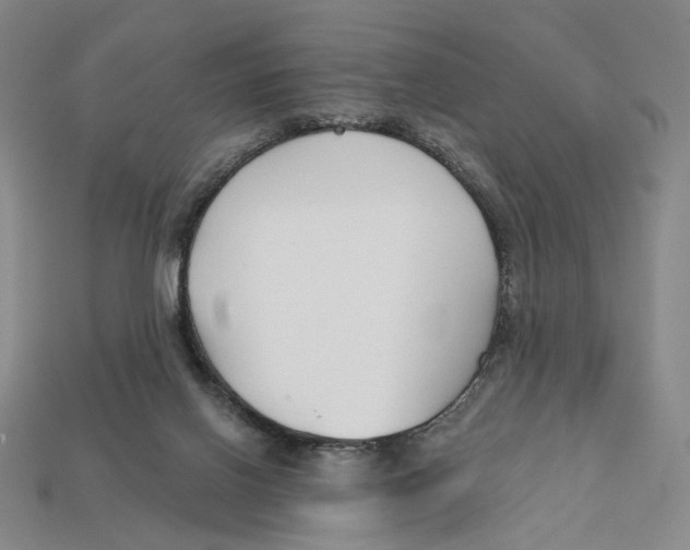 X0000112430070200909111038