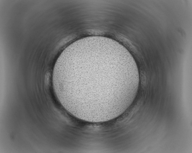 X0000112430071200909111038