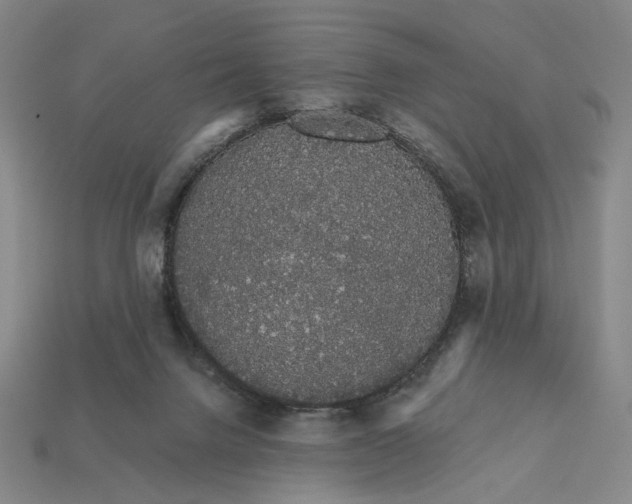 X0000112430072200909111038