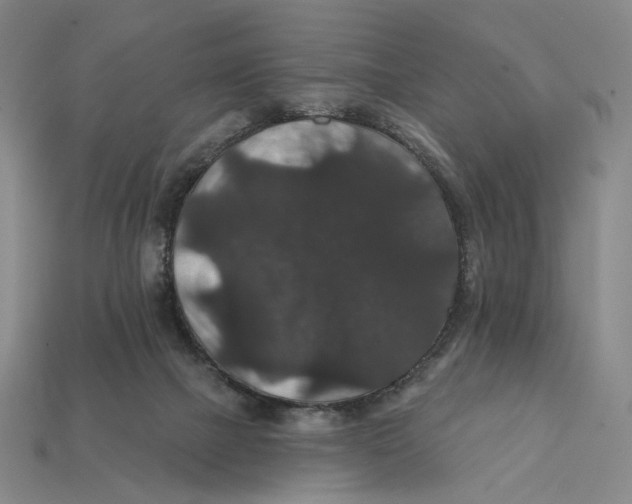 X0000112430073200909111038