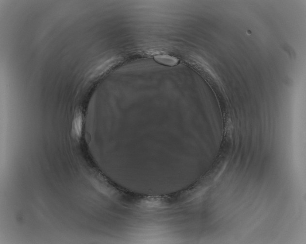X0000112430076200909111038