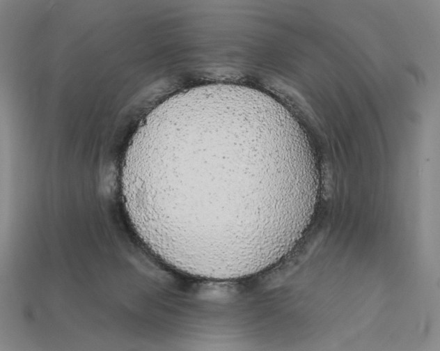 X0000112430077200909111038