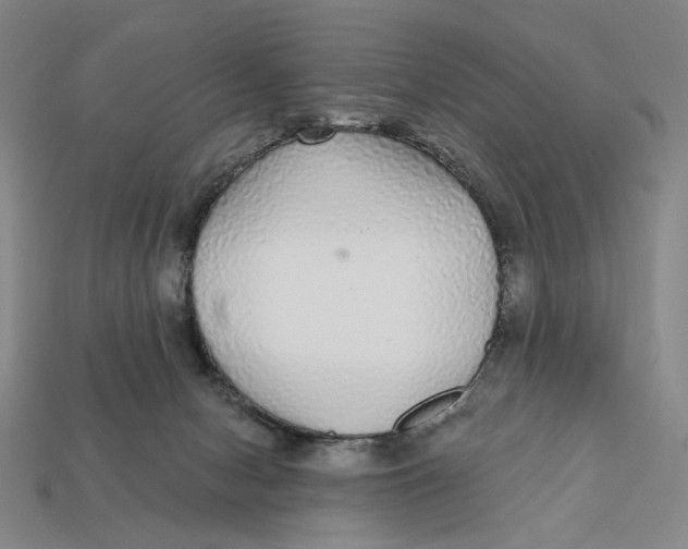 X0000112430078200909111038