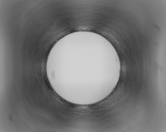 X0000112430079200909111038