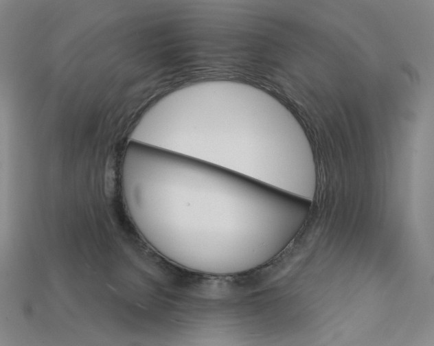 X0000112430080200909111038