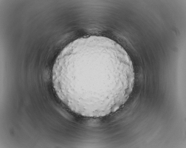 X0000112430081200909111038