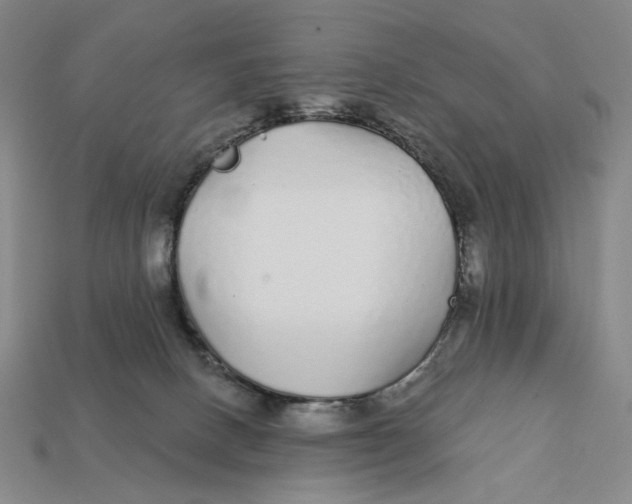 X0000112430082200909111038