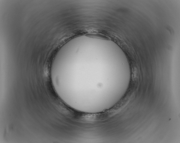 X0000112430084200909111038