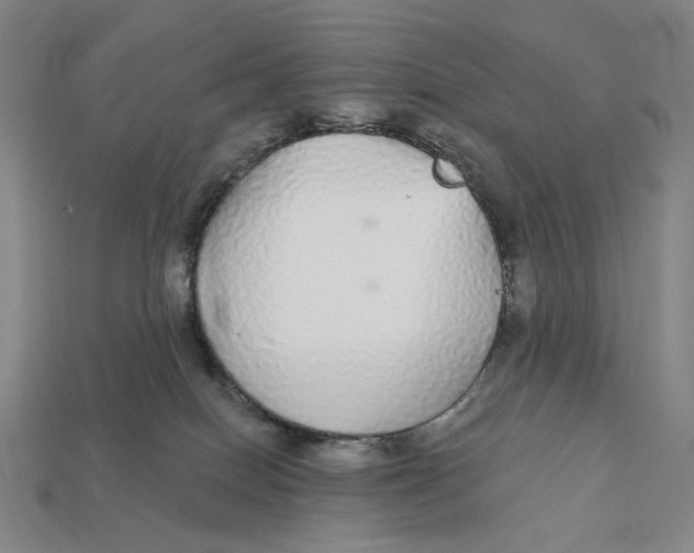 X0000112430086200909111038