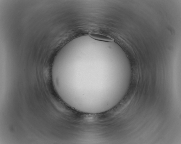 X0000112430088200909111038