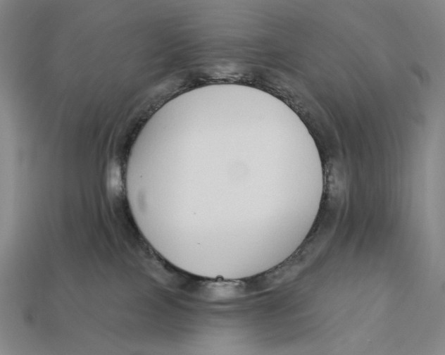 X0000112430089200909111038