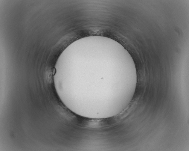 X0000112430090200909111038