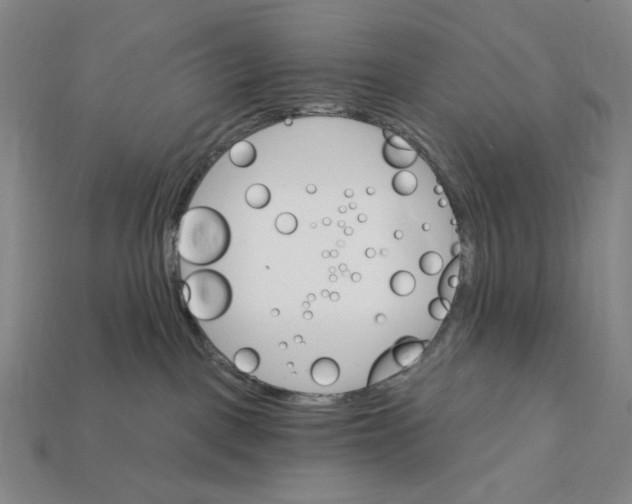 X0000112430093200909111038