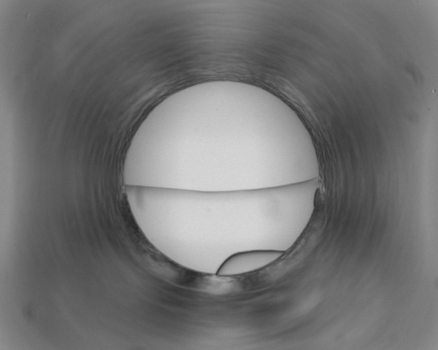 X0000112430095200909111039