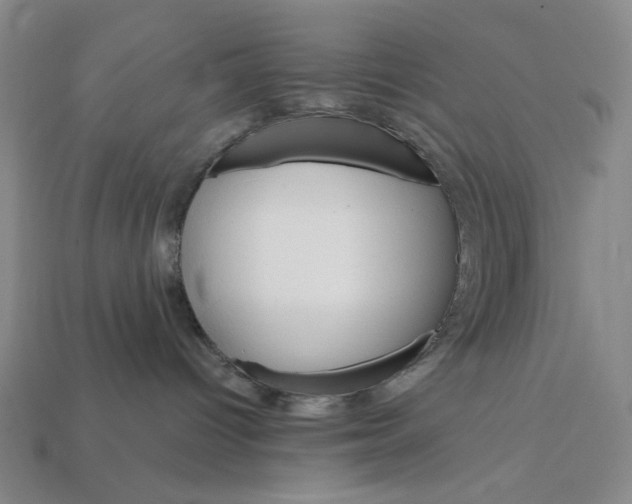 X0000112430096200909111039