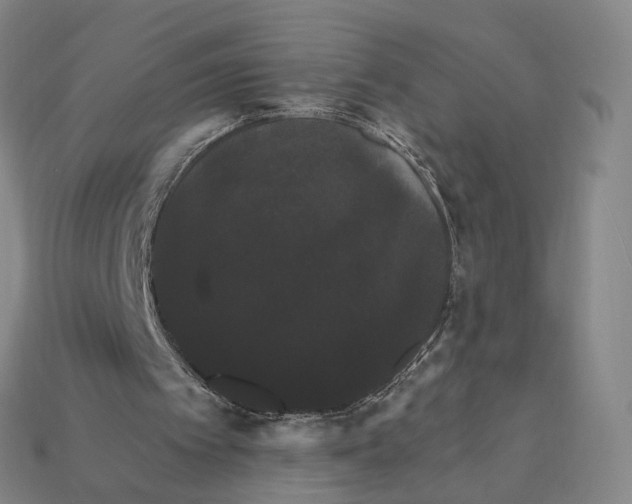 X0000112430097200909111038