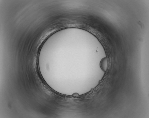 X0000112430098200909111038