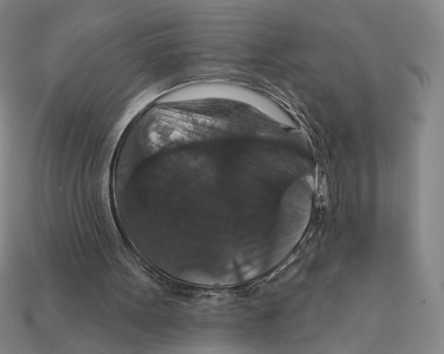 X0000112430099200909111038