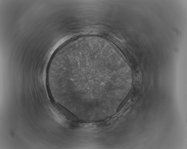X0000112430100200909111038