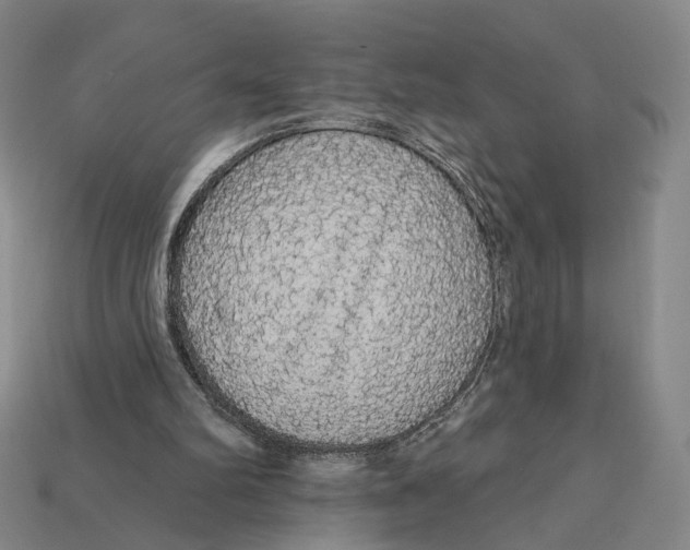 X0000112430102200909111038