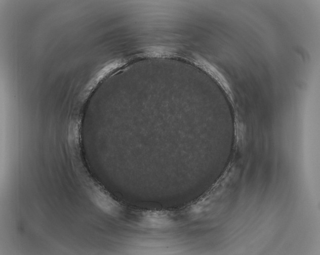 X0000112430105200909111038